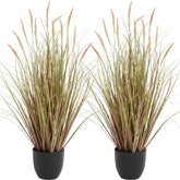 KOL 3ft cattail reed grass in pot adds natural indoor greenery.