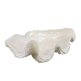 LC LCdecohome resin clam shell bowl on entryway table adds coastal charm