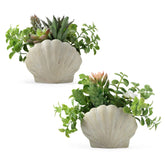 Lewondr fake plants set of 2 in sea shell pots add a coastal focal point.