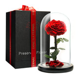 LOVAPPY forever preserved rose inside glass dome, an elegant centerpiece for any room.