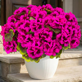 Lovemoon 8pcs artificial geraniums silk flowers for outdoor decor.