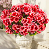 Lovemoon artificial geranium peach blooms for yearβround color