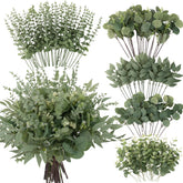 Lovemoon eucalyptus stems bulk in five varieties for lush centerpieces and bouquets.