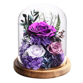 Lovenfold purple rose dome, elegant gift in a glass dome