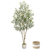LuceAlberi artificial olive tree 6ft with natural trunk for realistic indoor decor.