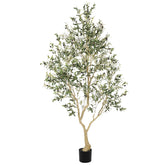 LYERSE 8ft olive tree with full olive branches enhances indoor decor