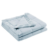 Madison Park Windom blue twin blanket with satin trim for luxurious warmth
