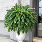 MARTINE MALL 48-inch artificial fern with lush full appearance for outdoor spaces.