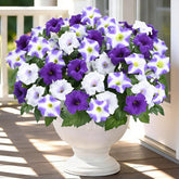 MARTINE MALL artificial outdoor flowers four-bundle petunia set for porch decor