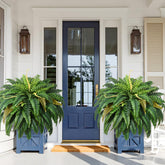 Martine Mall Boston fern 48in with 88 leaves, ideal for outdoor planters.