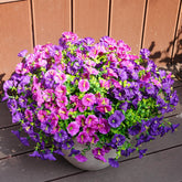 Maxkes Morning Glory artificial flowers in purple fuchsia for outdoor porches