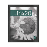 MCS Studio Gallery Classic 16x20 frame in black woodgrain ready to display posters.