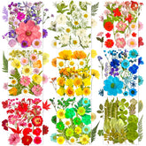 MIKIYA 182Pcs dried flowers in a vacuum pack for resin crafts.