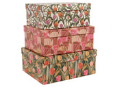 MIZFRUZZY tulip pink small box with lid keeps photos organized.