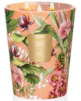M&SENSE Peony Blush Sude large candle jar for room-filling aroma.