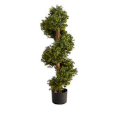 Nearly Natural boxwood spiral topiary tree outdoors with vibrant twirls for stylish entryways.