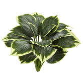Nearly Natural variegated hosta artificial plant set of six, arranged for a full, lush display.