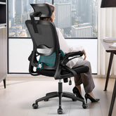 Nexthro ergonomic chair lumbar-back view shows breathable mesh and targeted lumbar support