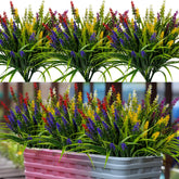 Nigirior lavender outdoor flowers for veranda decor and year-round color
