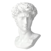 Norrclp David bust front view, versatile decor centerpiece for living rooms.