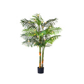 NOVAROOT 5ft palm with planter and moss enhances living room ambiance