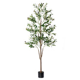 NOVAROOT Olive Tree 6ft tall in planter for living room decor.