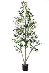 NOVAROOT olive tree with planter and moss for cozy indoor decor