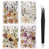 Nuanchu 200 Pcs pressed flowers pack for DIY crafts and resin projects.