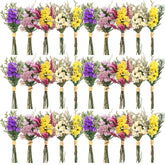 Nuanchu forget-me-not mini bouquets for vase decor with long-lasting color