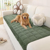 OstepDecor washable couch cover for dogs in green protecting leather sofas.