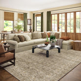 Palohom machine-washable rug for living rooms, easy cleanup and vibrant colors.