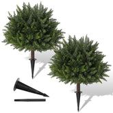 Pertivery cedar topiary 23-6 inch in-pot detail for evergreen year-round ambiance.