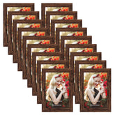 PETAFLOP wooden bulk 4x6 frame set in rustic brown for gallery walls