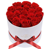 Prifroti 17 roses in premium velvet box red open display, a lasting gift idea