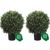 QAOUIEP artificial boxwood topiary set of two on front porch for curb appeal.