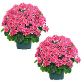 QIANYUN artificial geranium bush 20-inch front porch display with vibrant color.