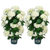 QIANYUN faux hydrangea tree with white blooms for base display, maintenance-free.