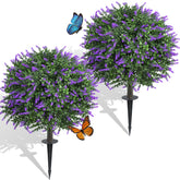 Quirlory lavender topiary ball 24in shows dense foliage for instant curb appeal