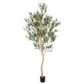 REALEAD 8ft olive tree full view for elegant interior decor.