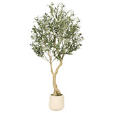 REALEAD Olive Tree 5ft indoors in white planter adds natural elegance to living spaces.