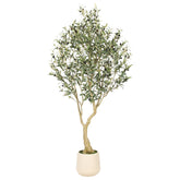 REALEAD olive tree 6ft with tall planter enhances living room ambience