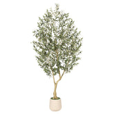 REalead 7ft olive tree full view enhances room ambiance with lifelike greenery.