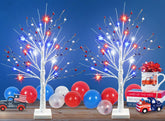 Ruidazon 24-inch patriotic birch tree with red, white, and blue lights for celebrations.