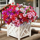 Satefello colorfully arranged 20 bundles outdoor flowers brighten window box or garden