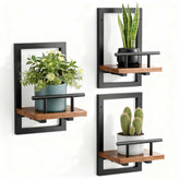Sbosbo floating shelves on wall with plants for stylish room display