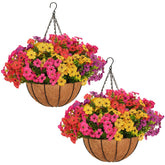 Secqous daisy hanging basket on a porch adds year-round color for outdoor decor.