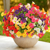 Secqous morning glory bundles highlight outdoor decor with realistic color.