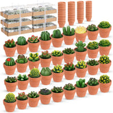 Shihanee succulent tealight candles create warm ambience on spring tables