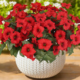 SIECCY artificial outdoor red petunias arranged for curb appeal.