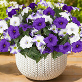 SIECCY outdoor artificial flowers in purple-white for 12-bundle arrangements.